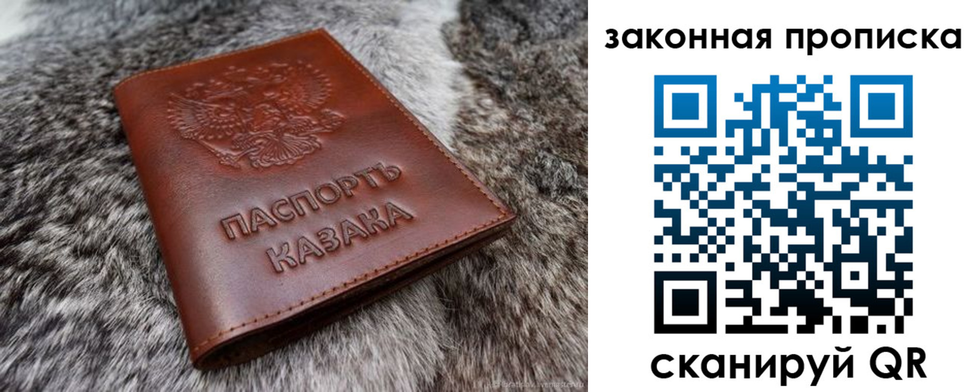 прописка в Волгодонске